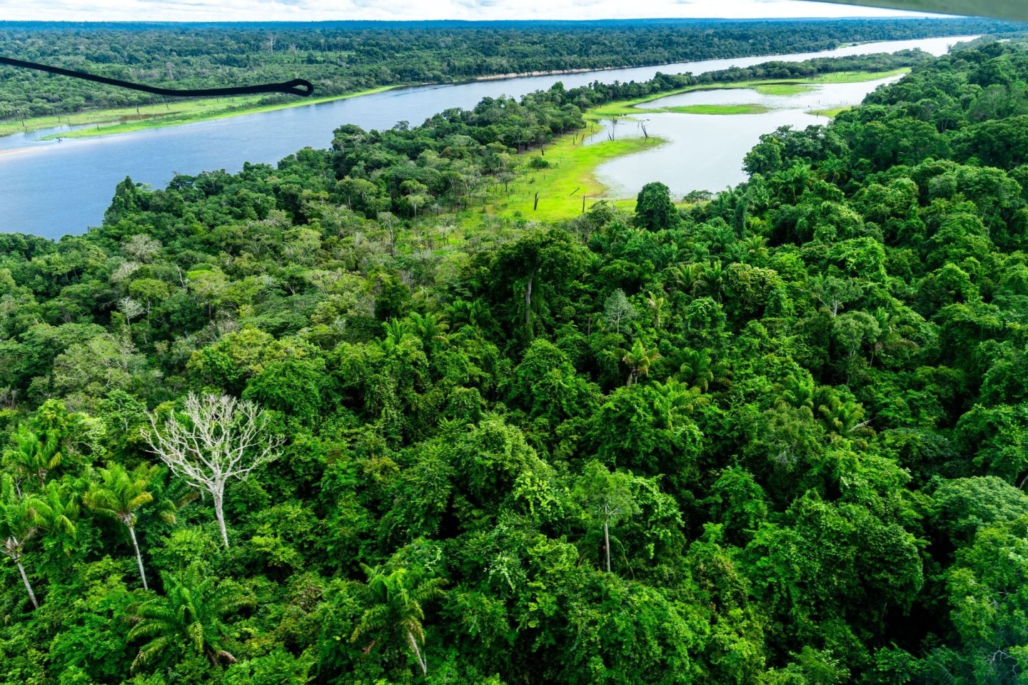 Der Amazonas-Regenwald gilt als CO2-Speicher und hat eine wichtige Funktion im internationalen Kampf gegen den Klimawandel.