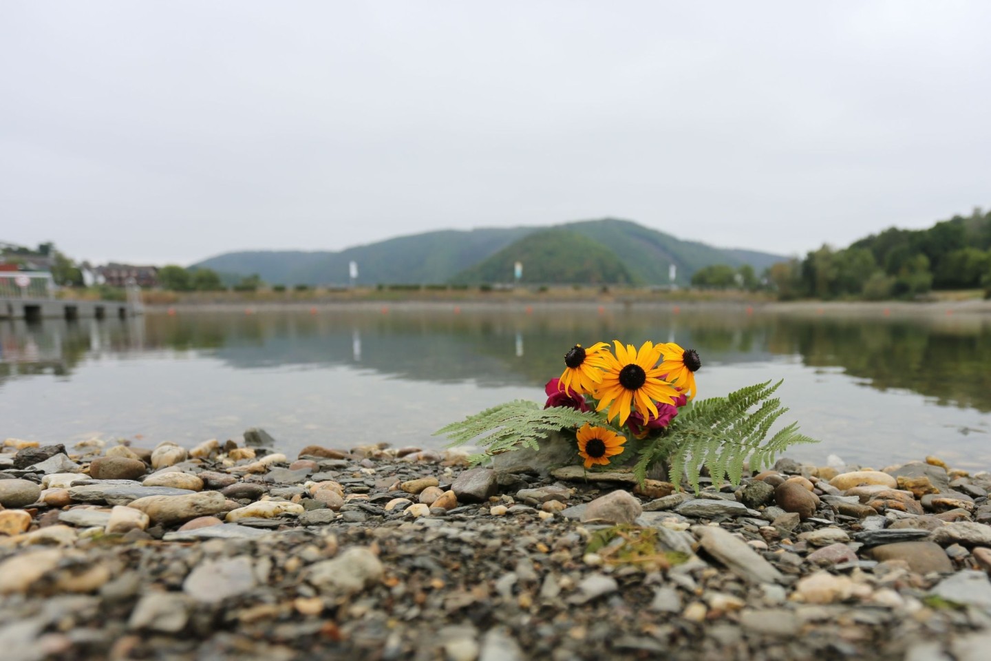 Blumen liegen am Ufer des Eiserbachsees für die verunglückten Kinder.
