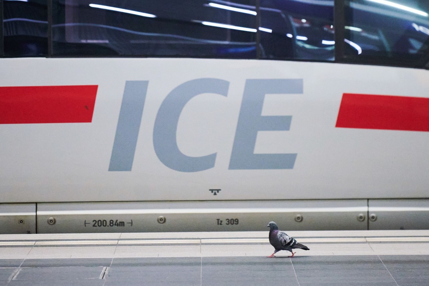 Mitfahren verboten! Eine Taube auf dem Hauptbahnhof Berlin.