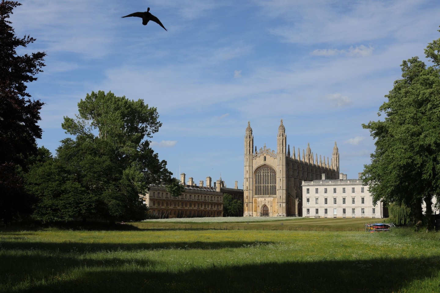 Die Universität Cambridge gehört zu den renommiertesten britischen Universitäten.