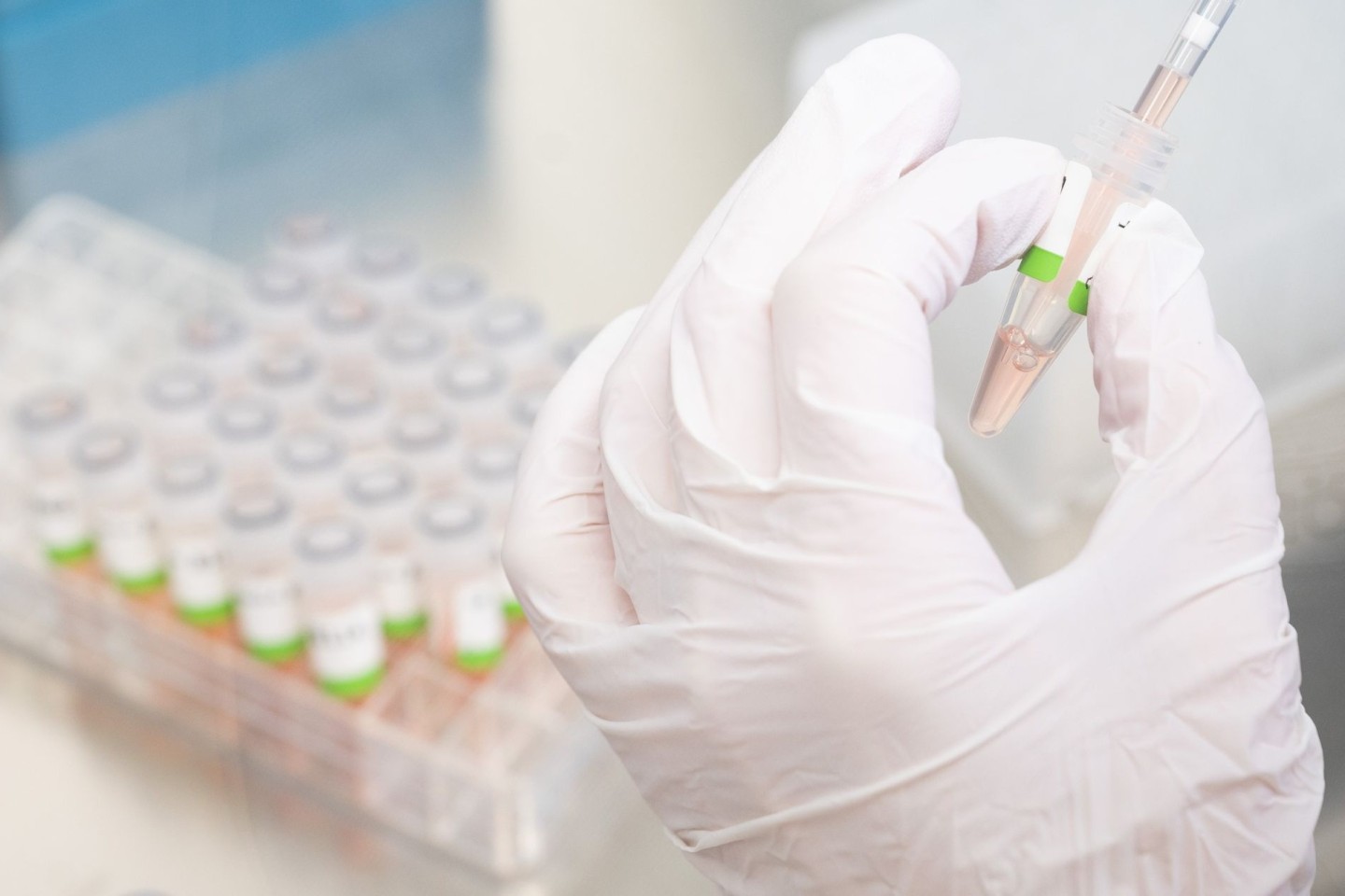 Eine biologisch-technische Assistentin bereitet PCR-Tests auf das Coronavirus vor.