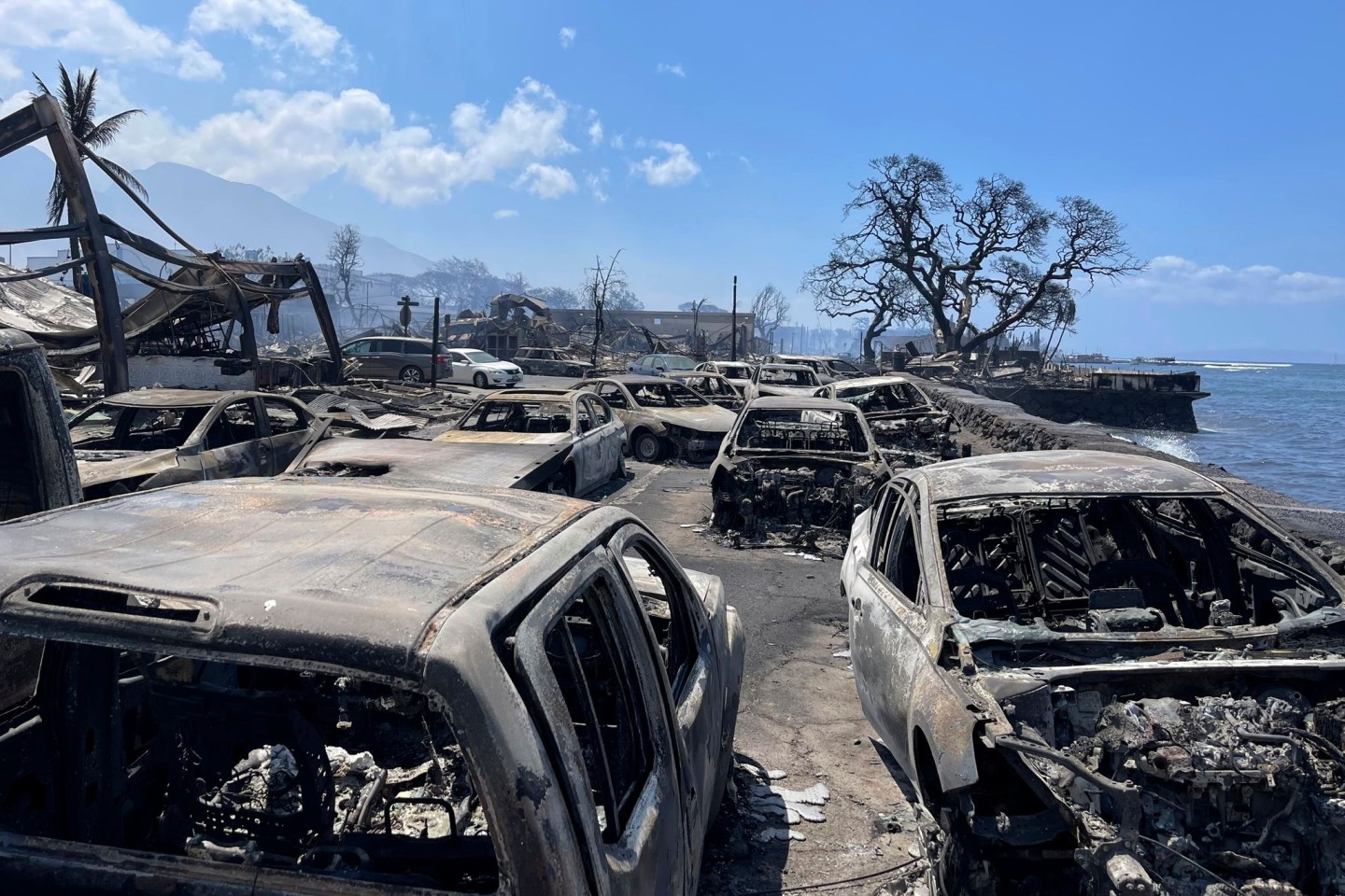 Ausgebrannte Autos stehen nach dem Waldbrand in Lahaina, Hawaii.