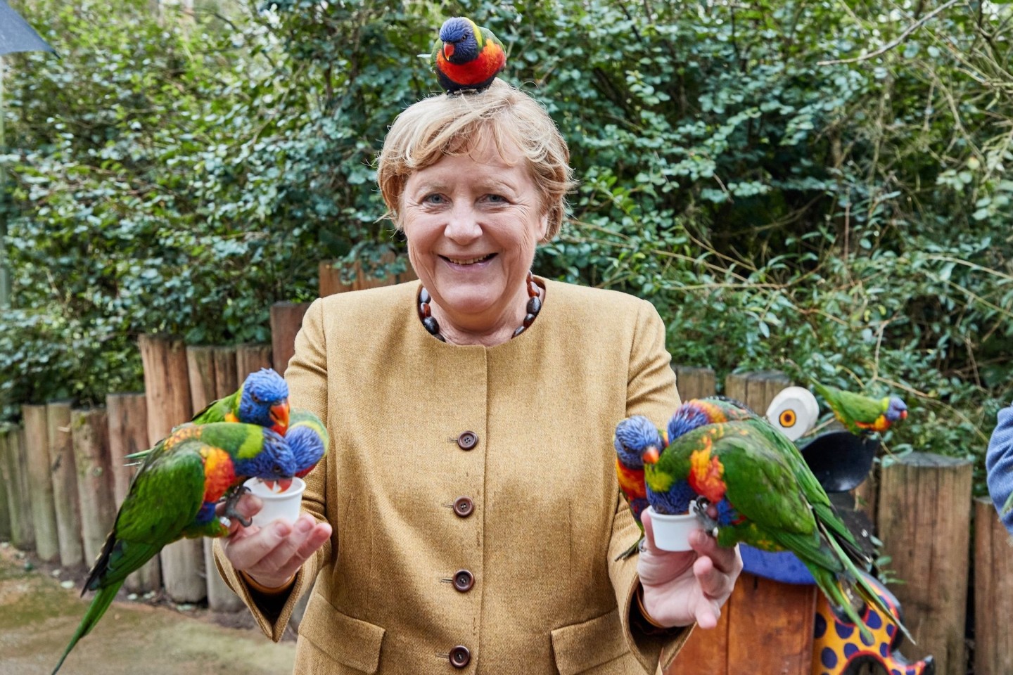 Bundeskanzlerin Angela Merkel füttert im Vogelpark Marlow australische Loris.