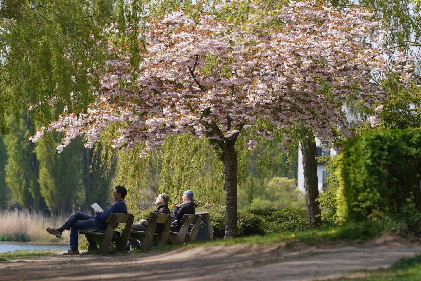 Passanten genießen die Sonne auf einer Parkbank an der Außenalster in Hamburg.