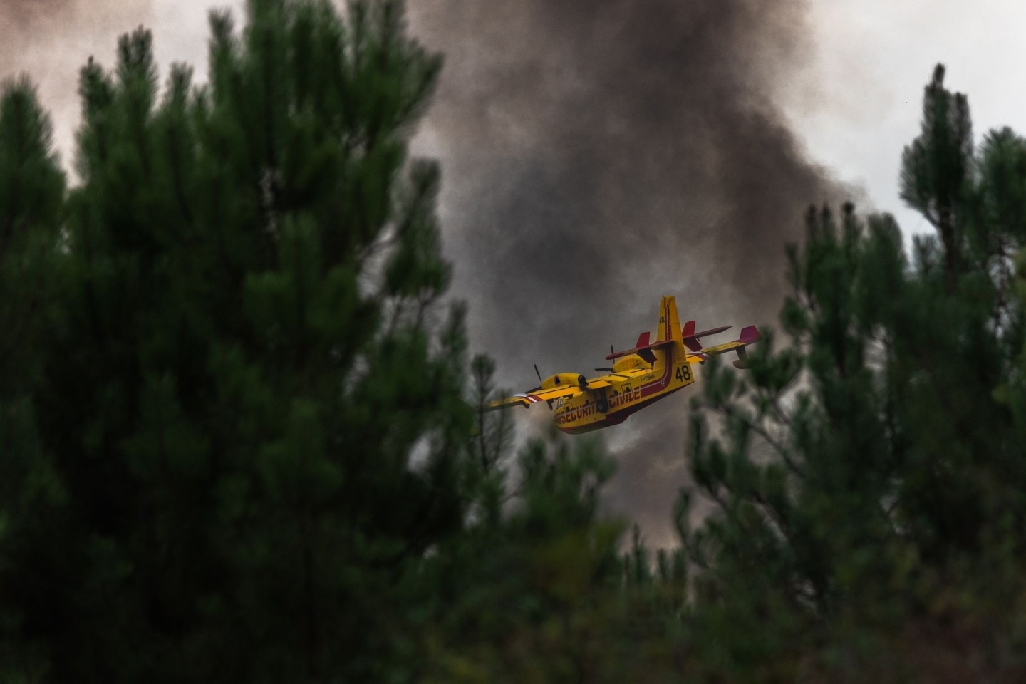 Ein Löschflugzeug überfliegt den Wald während eines Brandes in Frankreich.
