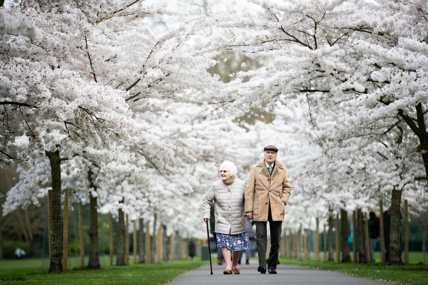 Trotz häufigerer körperlicher Beschwerden sind ältere Menschen in der Regel glücklicher und zufriedener als mittelalte Erwachsene.
