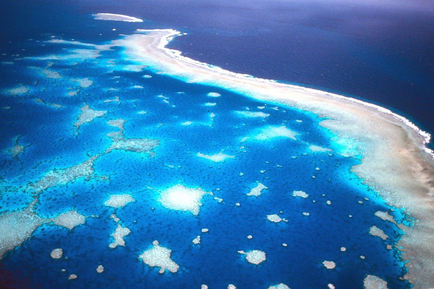 Das Great Barrier Reef ist sogar aus dem Weltraum zu sehen.