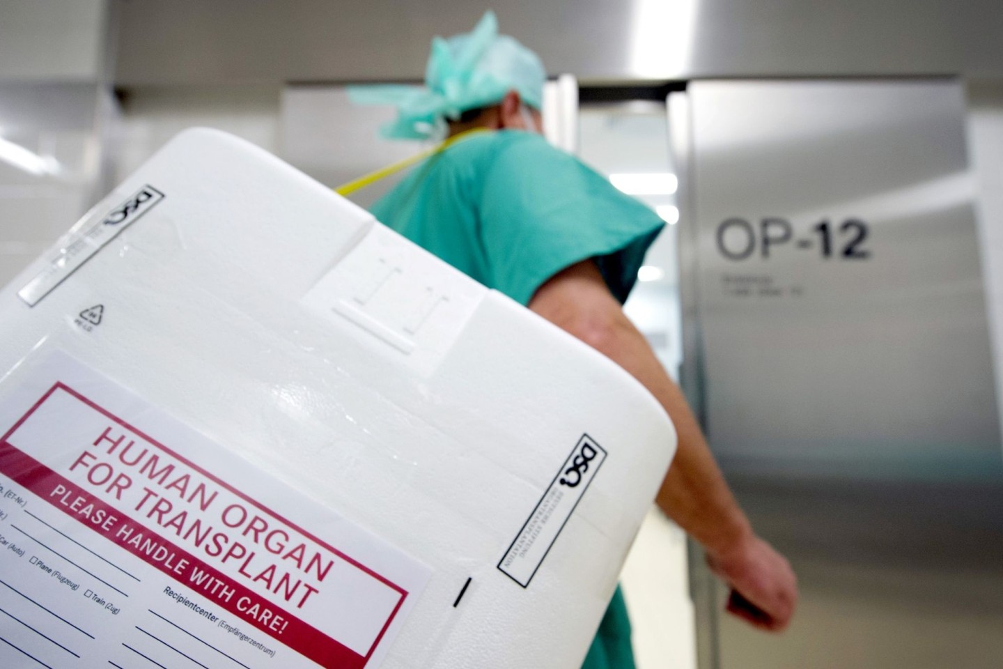 Ein Styropor-Behälter zum Transport von zur Transplantation vorgesehenen Organen am Eingang eines OP-Saales.