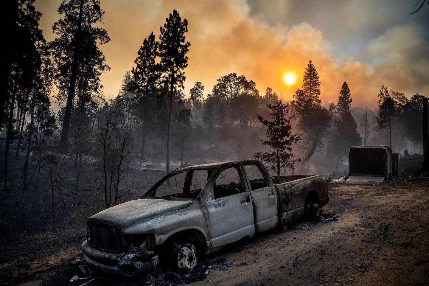 Das Oak Fire wütet nahe des Yosemite-Nationalparks im US-Bundesstaat Kalifornien. Gouverneur Gavin Newsom hat in dem betroffenen Gebiet den Notstand verhängt, Tausende mussten sich in Sich...
