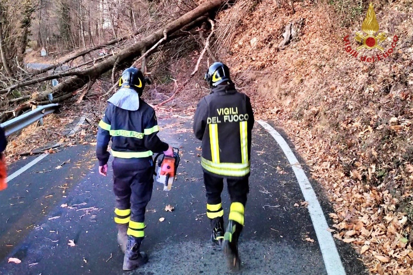 Feuerwehrleute räumen eine Straße in der Provinz Turin (Region Piemont), auf die mehrere Bäume gestürzt sind.
