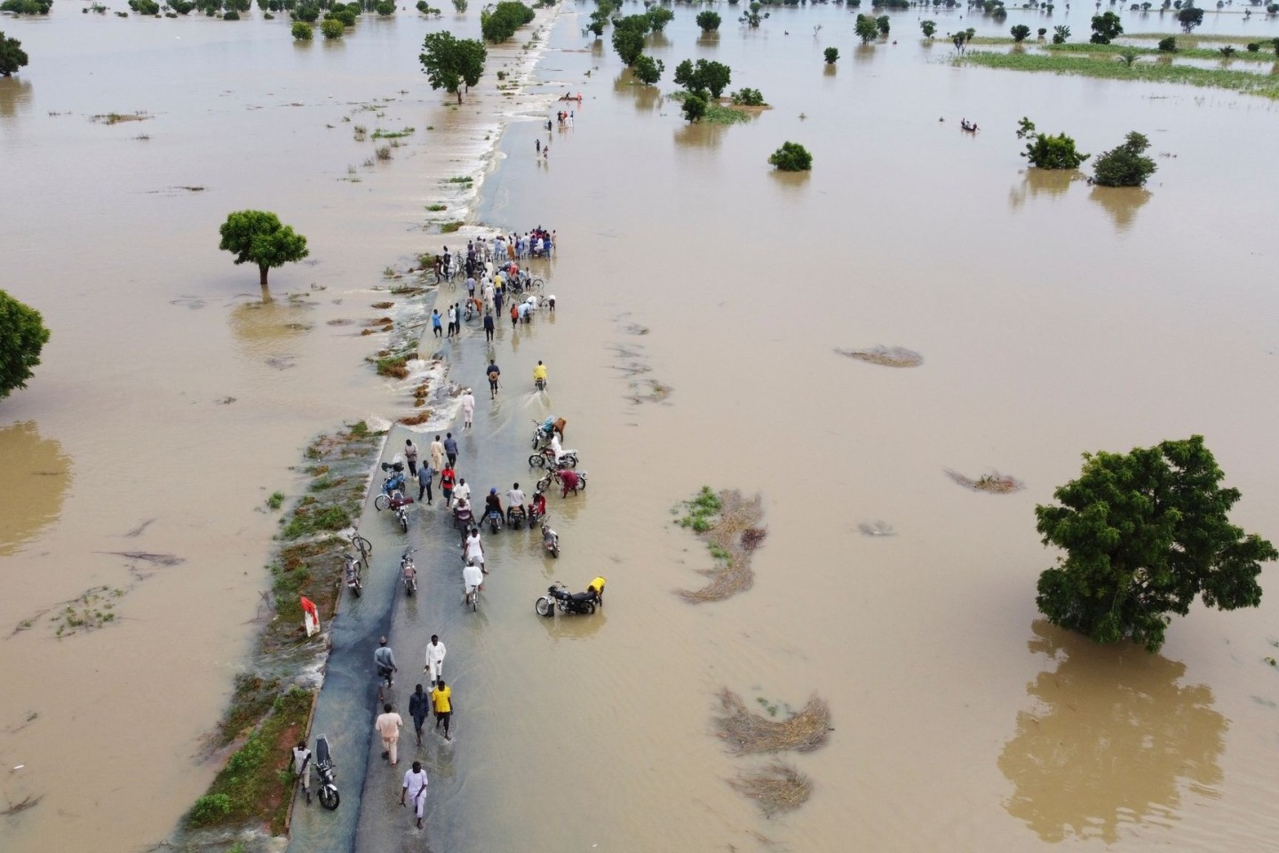Nigeria kämpft mit den schlimmsten Überschwemmungen seit einem Jahrzehnt.