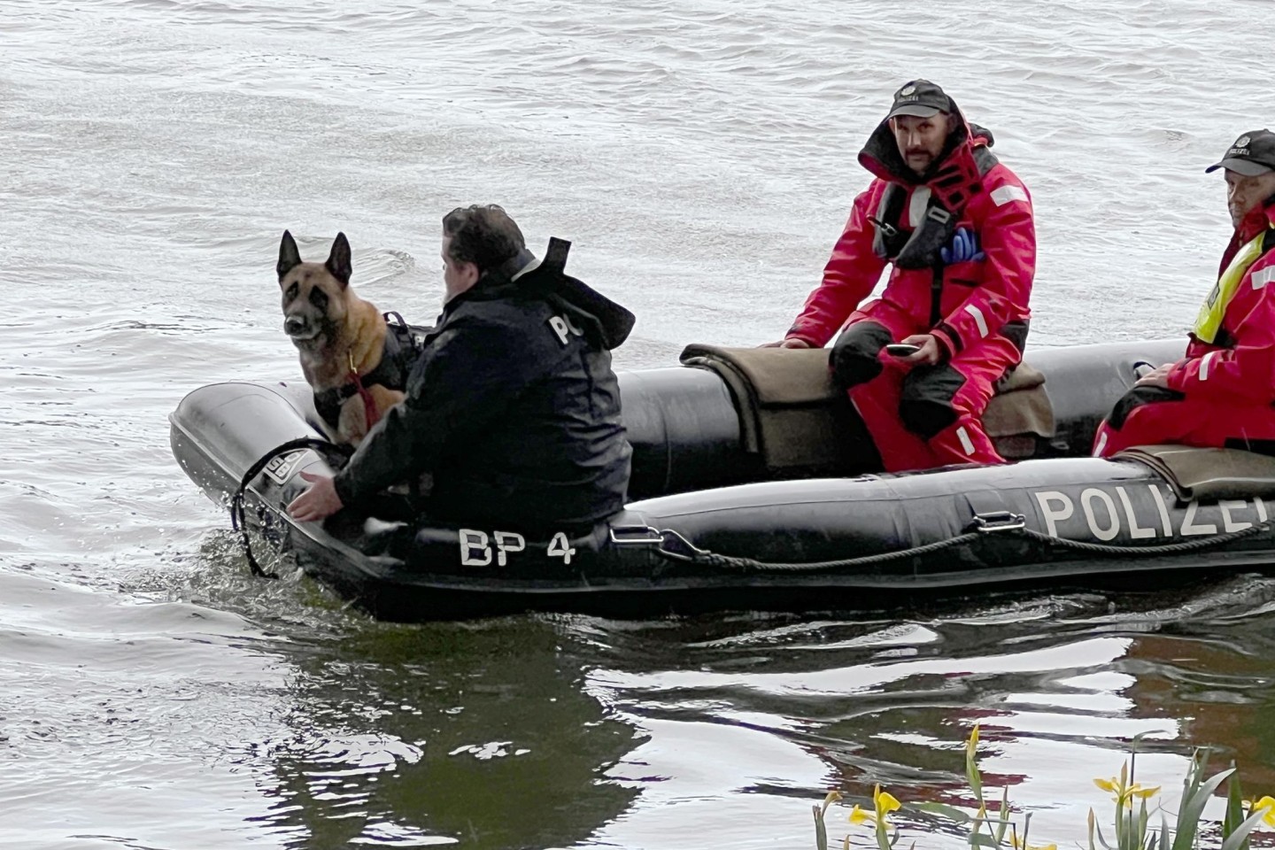 Einsatzkräfte sind mit einem Boot der Polizei im Uferbereich der Donau unterwegs.