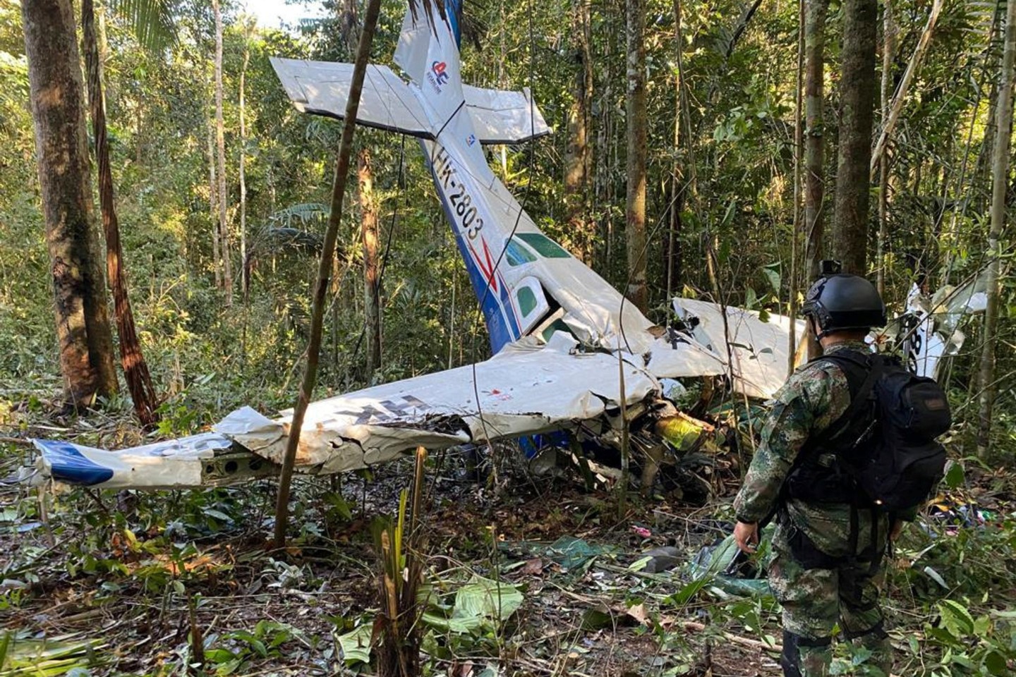 Das Wrack der Cessna C206, die am 18. Mai 2023 im kolumbianischen Dschungel abgestürzt ist.