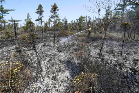 Lage in kanadischen Waldbrand-Gebieten entspannt sich leicht