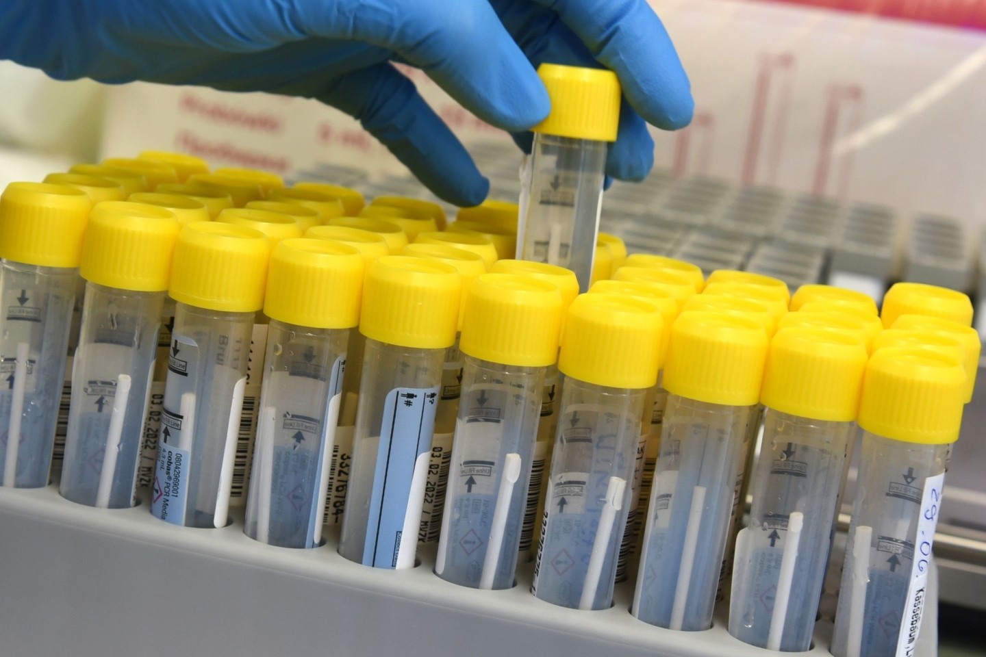 Eine medizinisch-technische Laborassistentin bereitet in einem PCR-Labor die Auswertung von Corona-Tests vor.