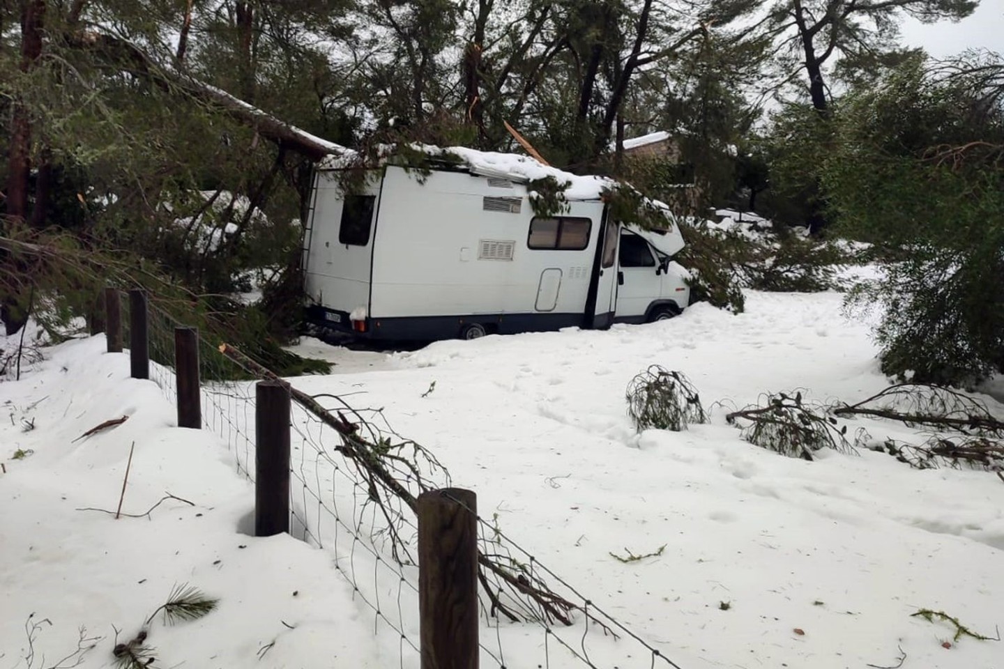 Im Norden von Mallorca ist ein Wohnmobil von einem durch Schnee eingestürzten Baum eingeklemmt. Eine Familie mit zwei kleinen Kindern konnte in Sicherheit gebracht werden.
