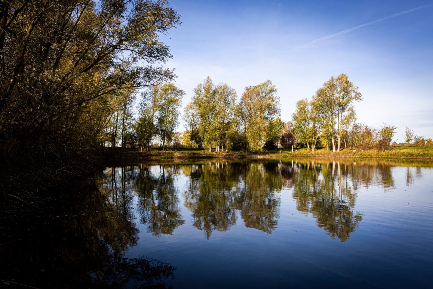 Bäume spiegeln sich im Landkreis Hildesheim bei sonnigem Herbstwetter auf der Wasseroberfläche eines Sees.