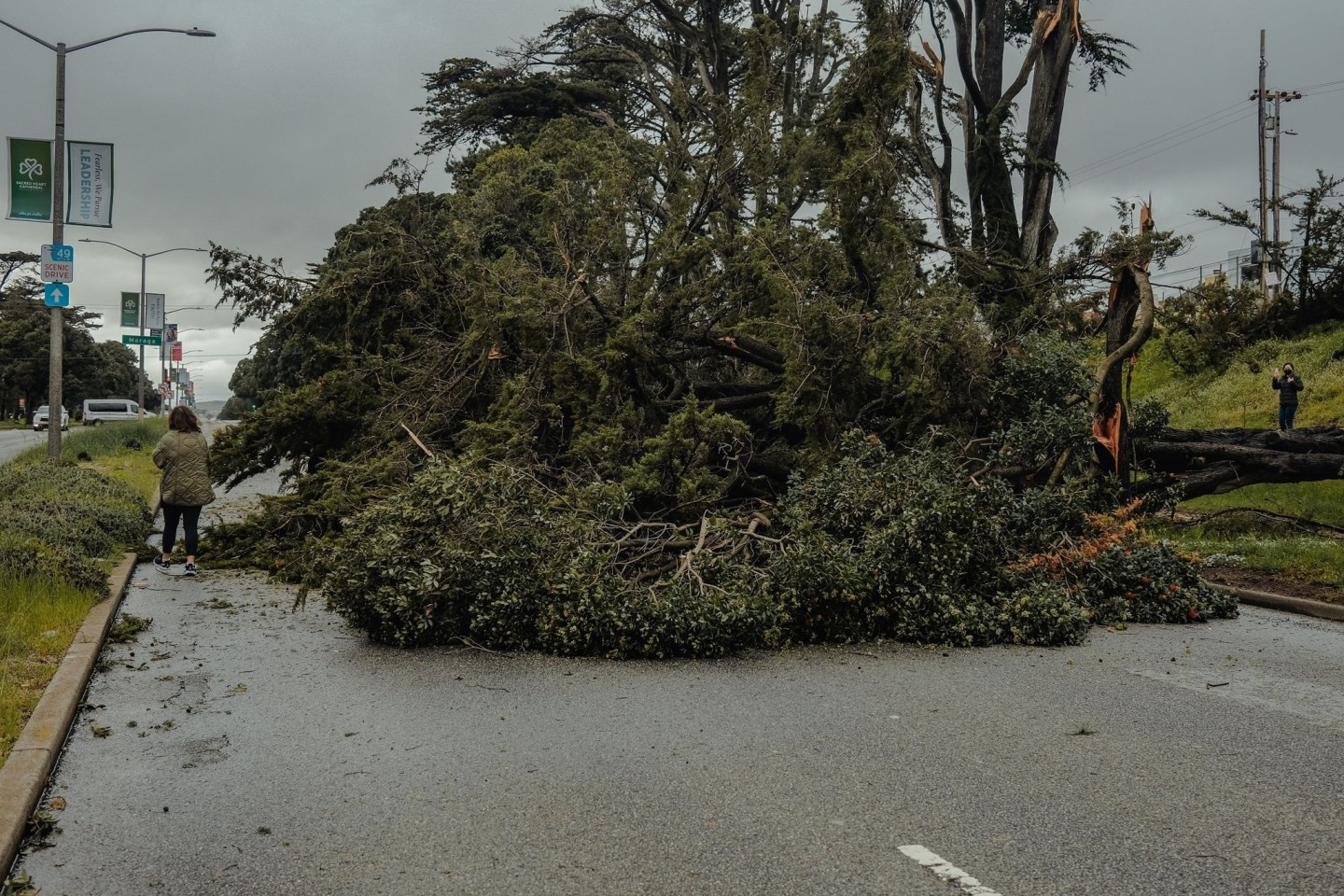 In San Francisco sind laut Behörden über 700 Bäume umgestürzt oder beschädigt worden.