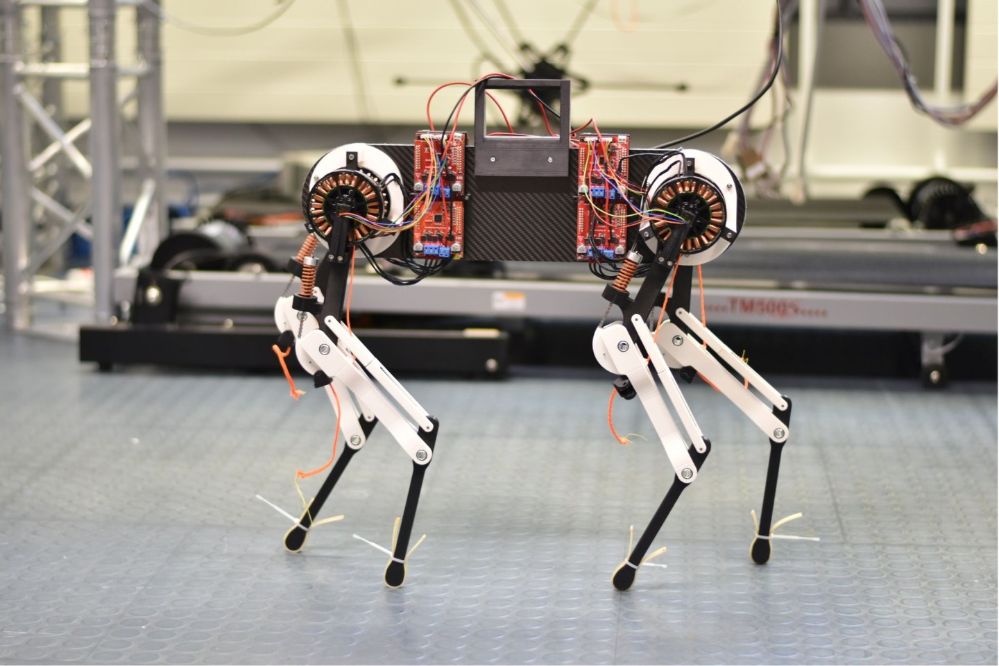 An dem vierbeinigen Roboter-Hund Morti simulieren Forscher, wie Tiere nach und nach flüssige Bewegungen erlernen.