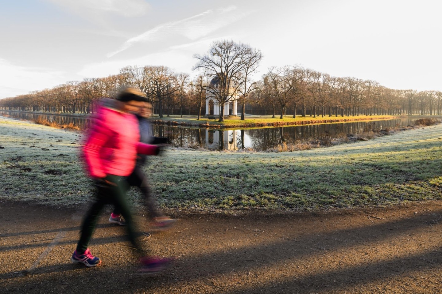 Zwei Frauen laufen eine Nordic-Walking-Runde in den Herrenhäuser Gärten in Hannover. Menschen in der EU bewegen sich laut OECD nicht genügend.
