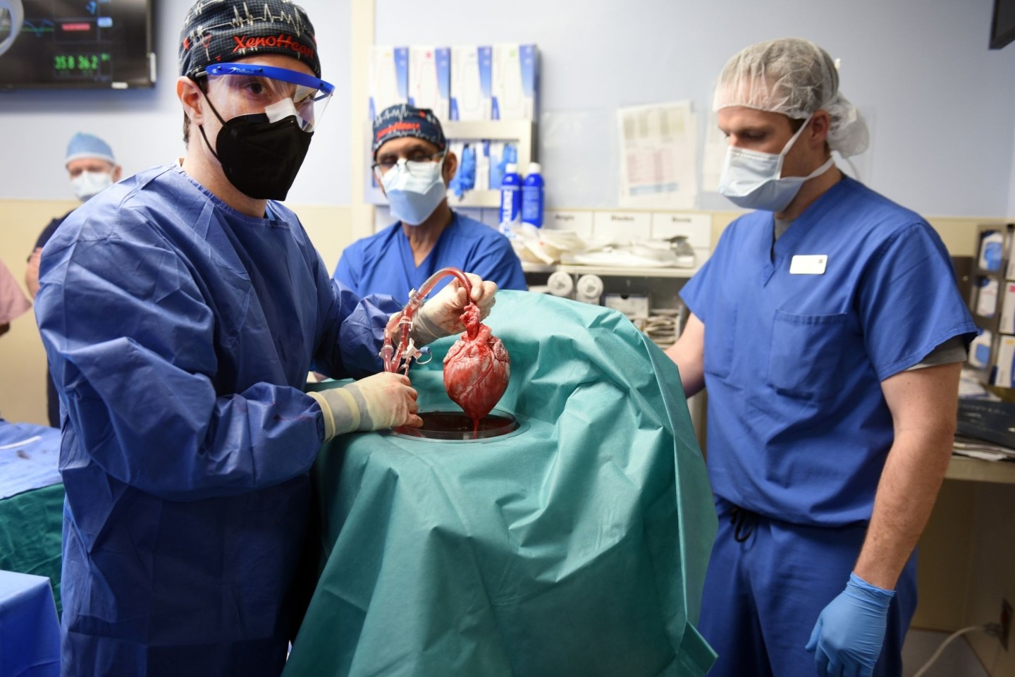 Ärzte setzen im Januar David Bennett das Schweineherz ein. Nun ist der Transplantationspatient gestorben.