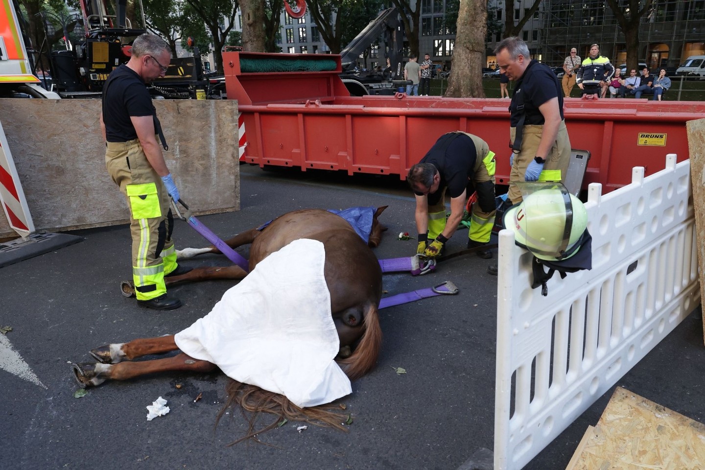 Feuerwehrmänner bereiten den Abtransport von dem toten Pferd auf der Königsallee vor.