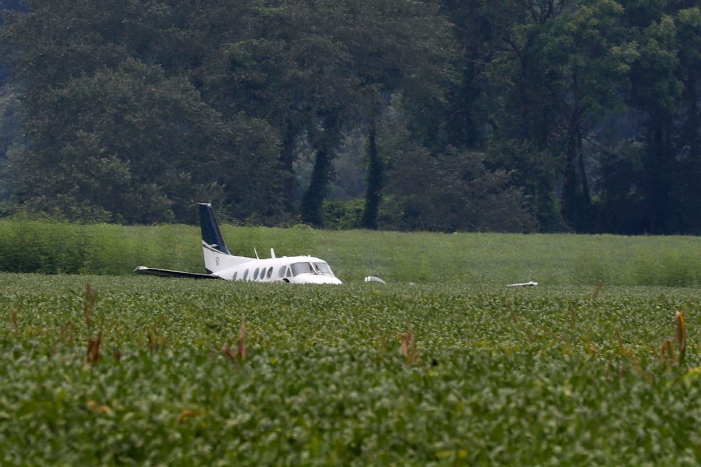 Nach einer Bruchlandung in der Nähe von Ripley im US-Bundesstaat Mississippi steht das gestohlene Flugzeug in einem Sojabohnenfeld.