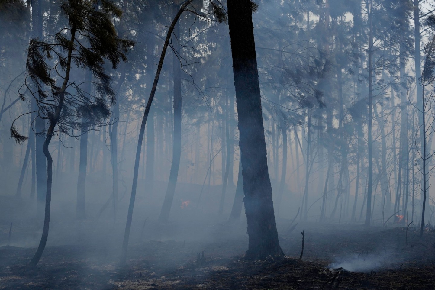 Rauch steigt zwischen verbrannten Bäumen vom Boden auf, nachdem ein Waldbrand im Dorf Rebolo in der Nähe von Ansiao erneut ausgebrochen ist. Tausende von Feuerwehrleuten kämpfen in Portug...
