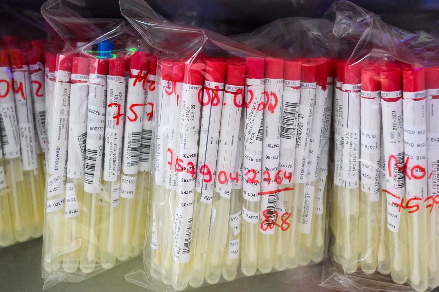 PCR-Tests von Patienten liegen in einem Labor in Hameln.