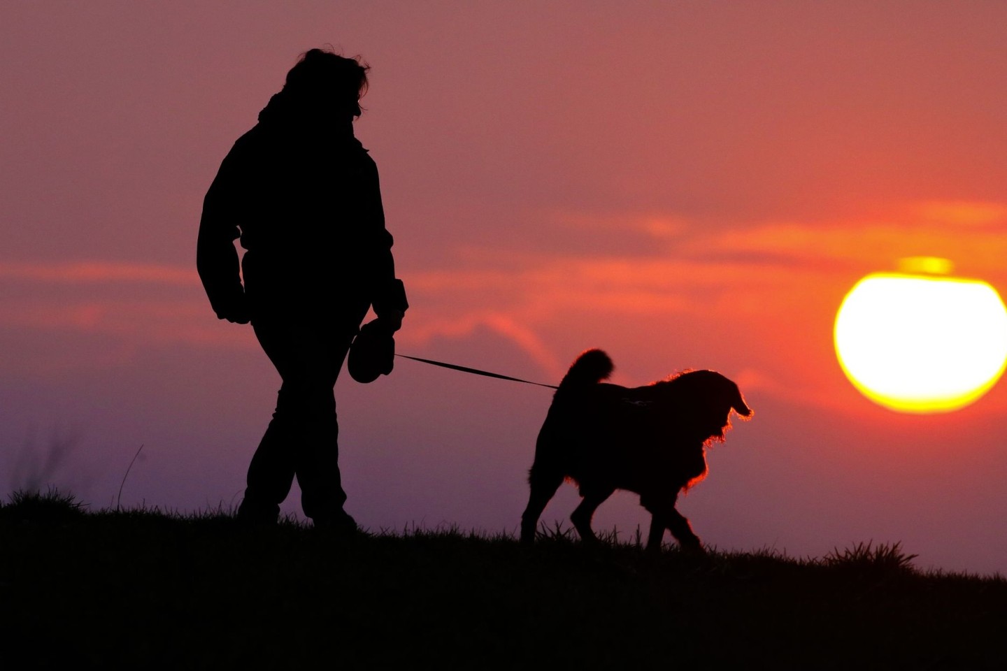 Eine Frau geht am Morgen, kurz nach Sonnenaufgang, mit ihrem Hund spazieren. Die Einnahmen aus der Hundesteuer sind im zweiten Pandemiejahr auf ein Rekordhoch geklettert.