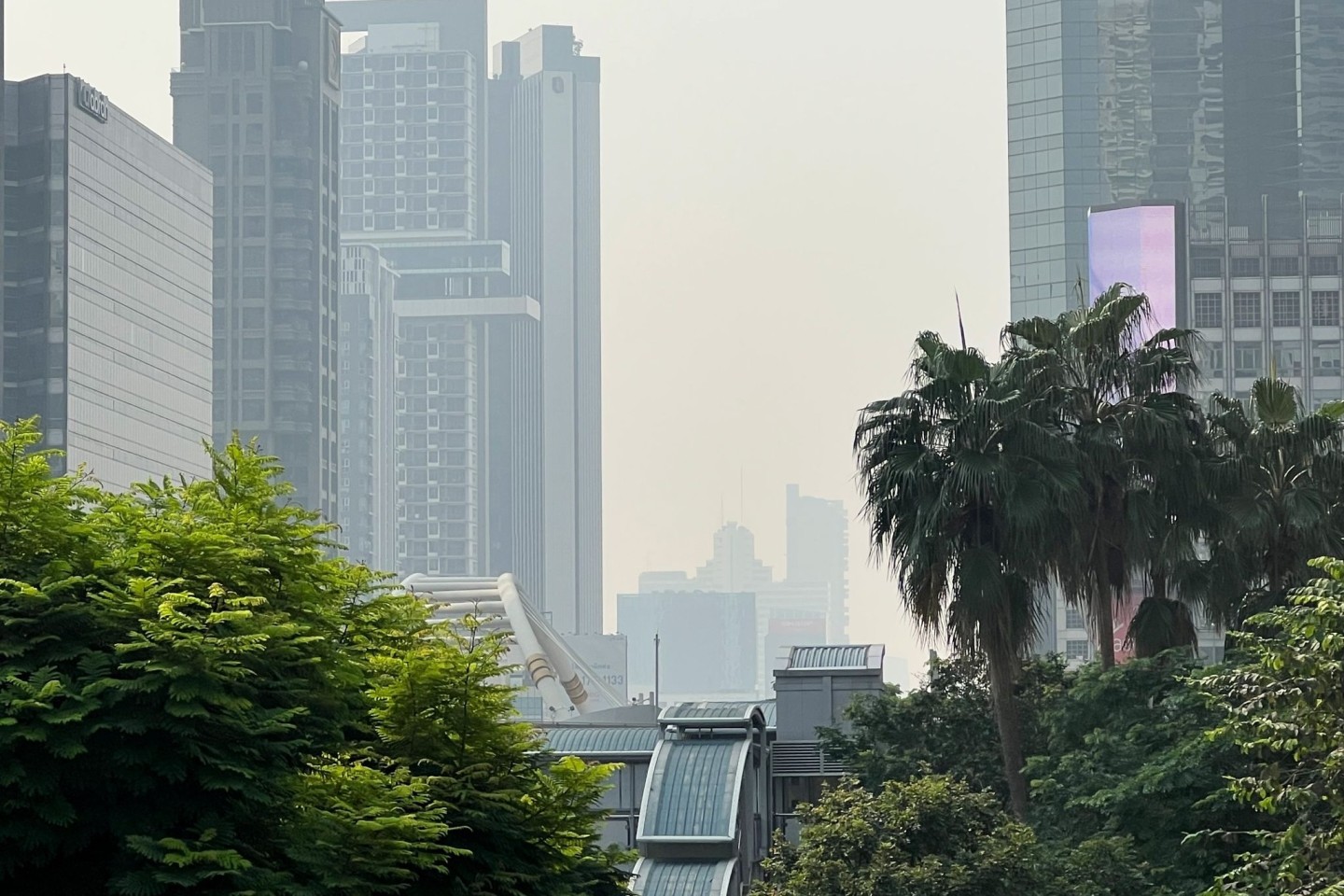 In Bangkok und anderen Teilen Thailands herrschen derzeit hohe Feinstaubwerte. Die Behörden raten den Menschen dringend, sich mit Masken vor der gesundheitsschädlichen Luft zu schützen.