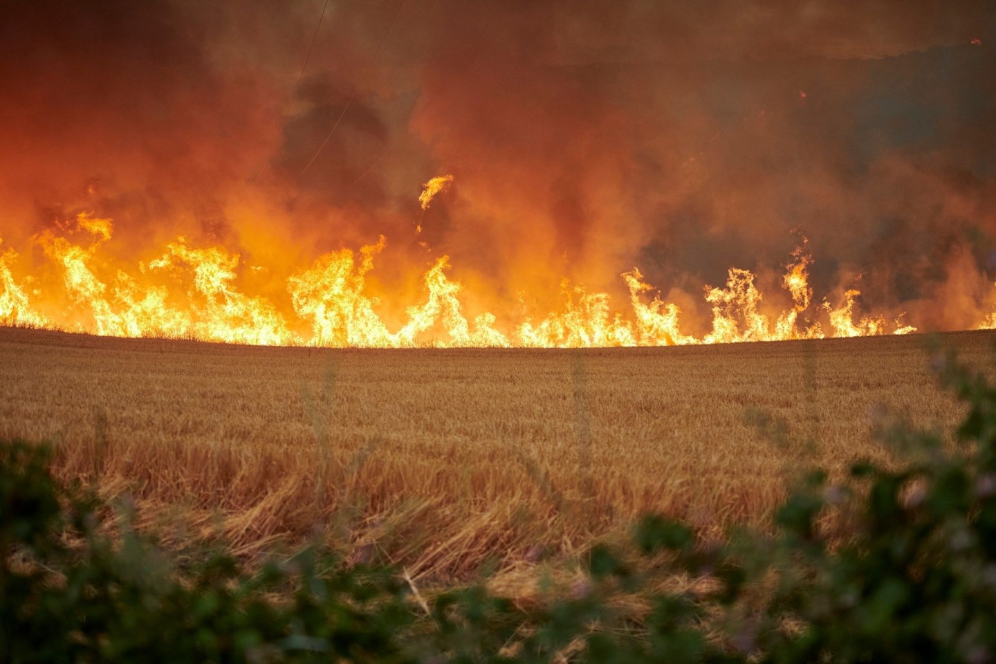 Flammen wüten auf einem Feld.