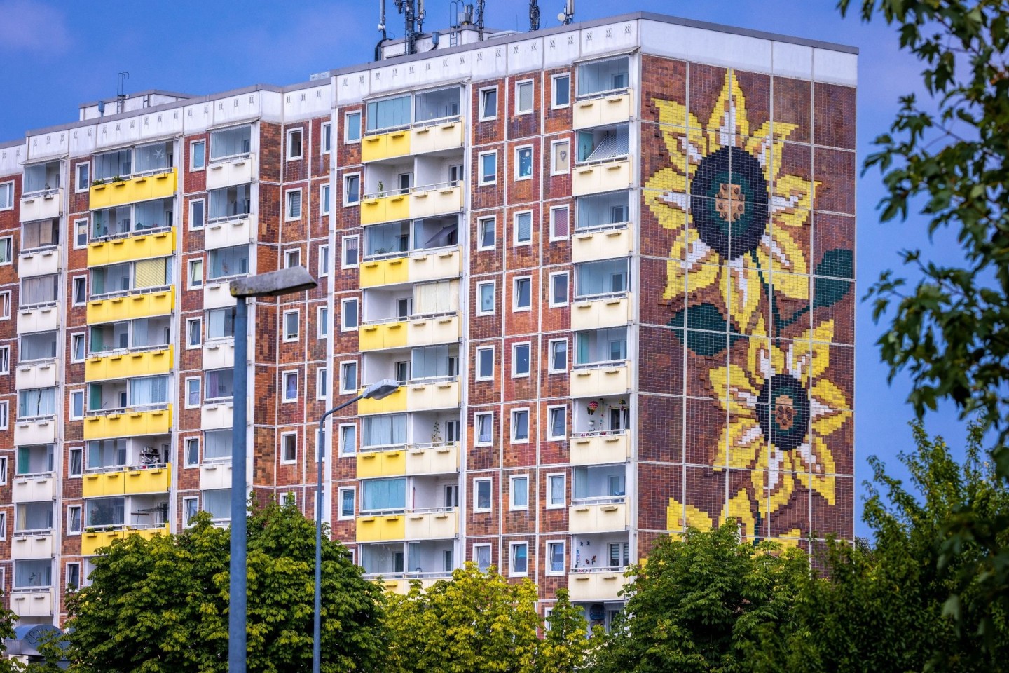 Das Sonnenblumenhaus im Rostocker Stadtteil Lichtenhagen.