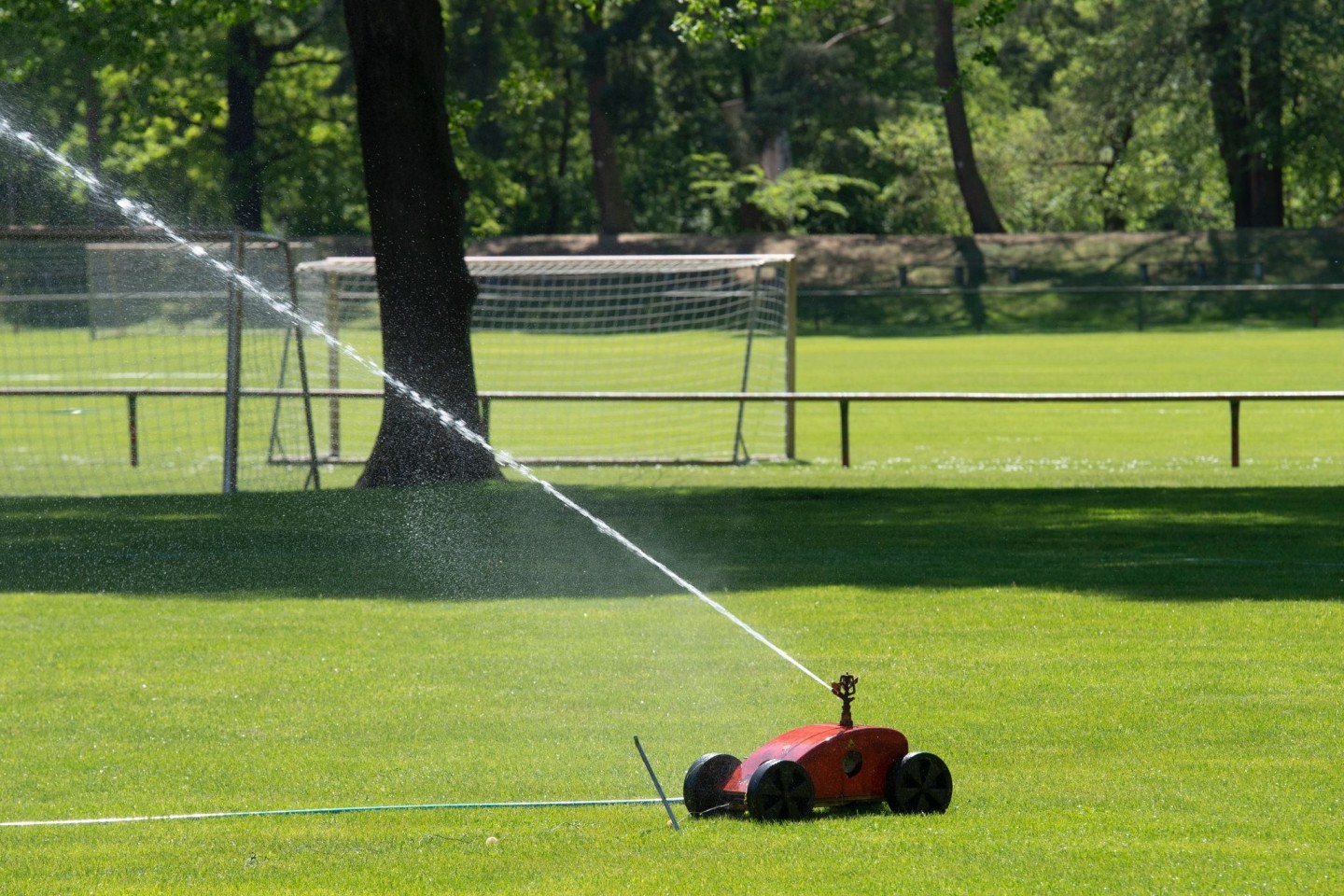 Ein Rasensprenger bewässert eine Sportanlage in Brandenburg.