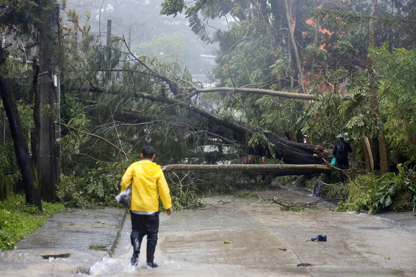 Umgestürzte Bäume blockieren eine Straße in Baguio City im Norden der Philippinen.
