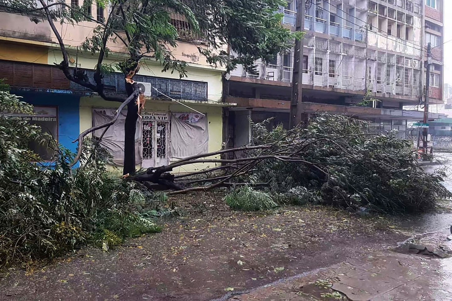 Umgefallene Bäume liegen auf einer Straße in Quelimane, Mosambik. Ein Tropensturm hat den Südosten Afrikas schwer getroffen.