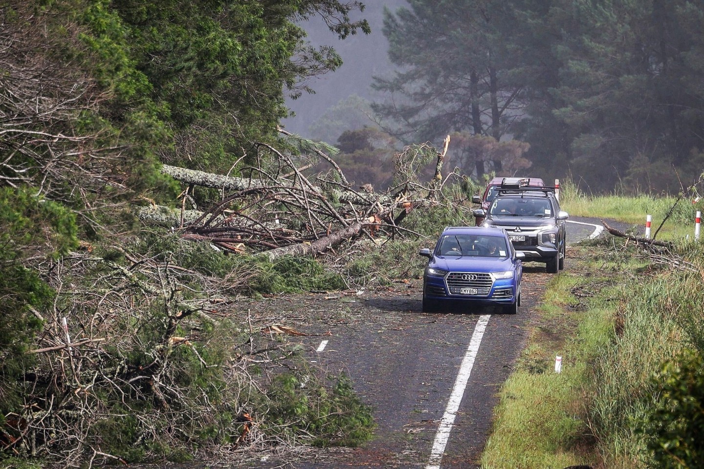 Autofahrer müssen in Cook's Beach um umgestürzte Bäume navigieren.