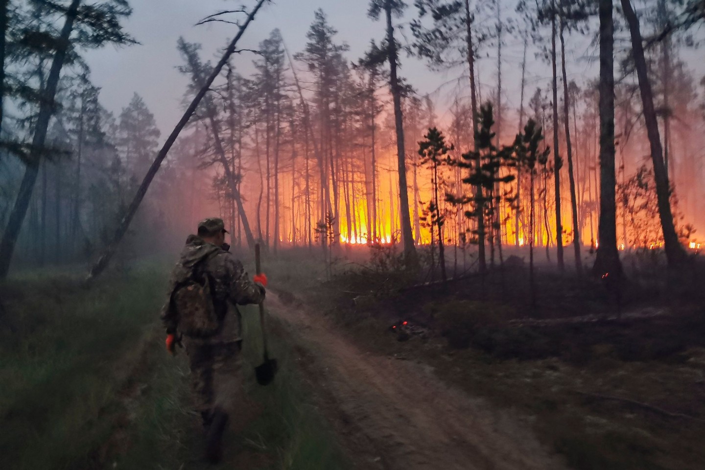 Freiwillige löschen einen Waldbrand in der Republik Sacha, auch bekannt als Jakutien, im Fernen Osten Russlands.