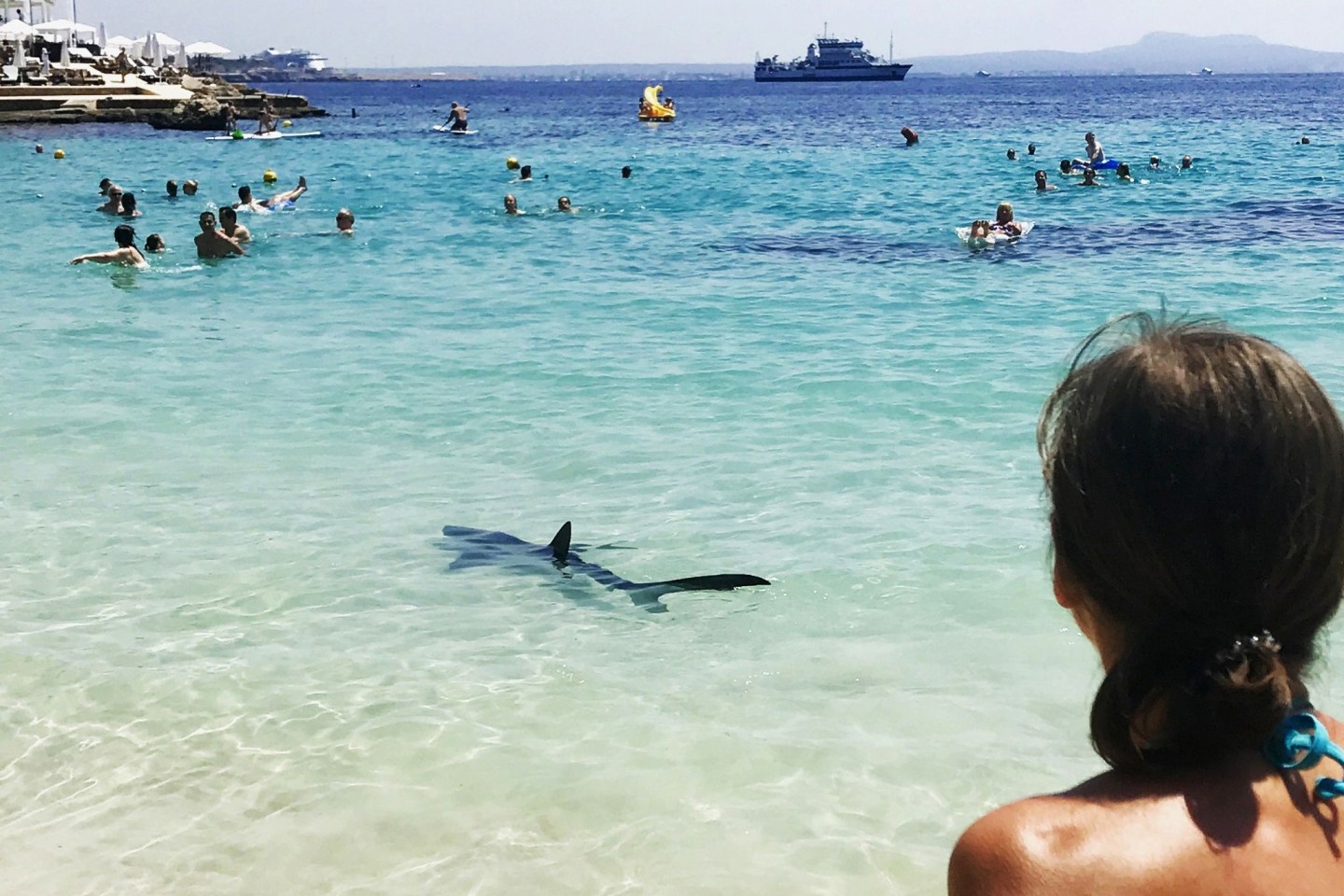 Ein Hai schwimmt durch flaches Wasser auf Mallorca und erschreckt Badegäste.