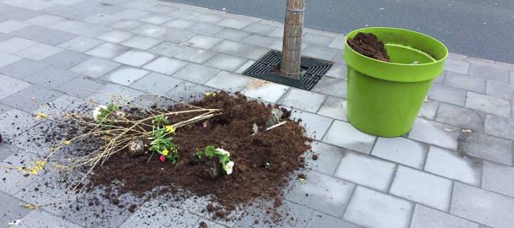 Vandalismus an frühlingsgrünen Blumenkübeln