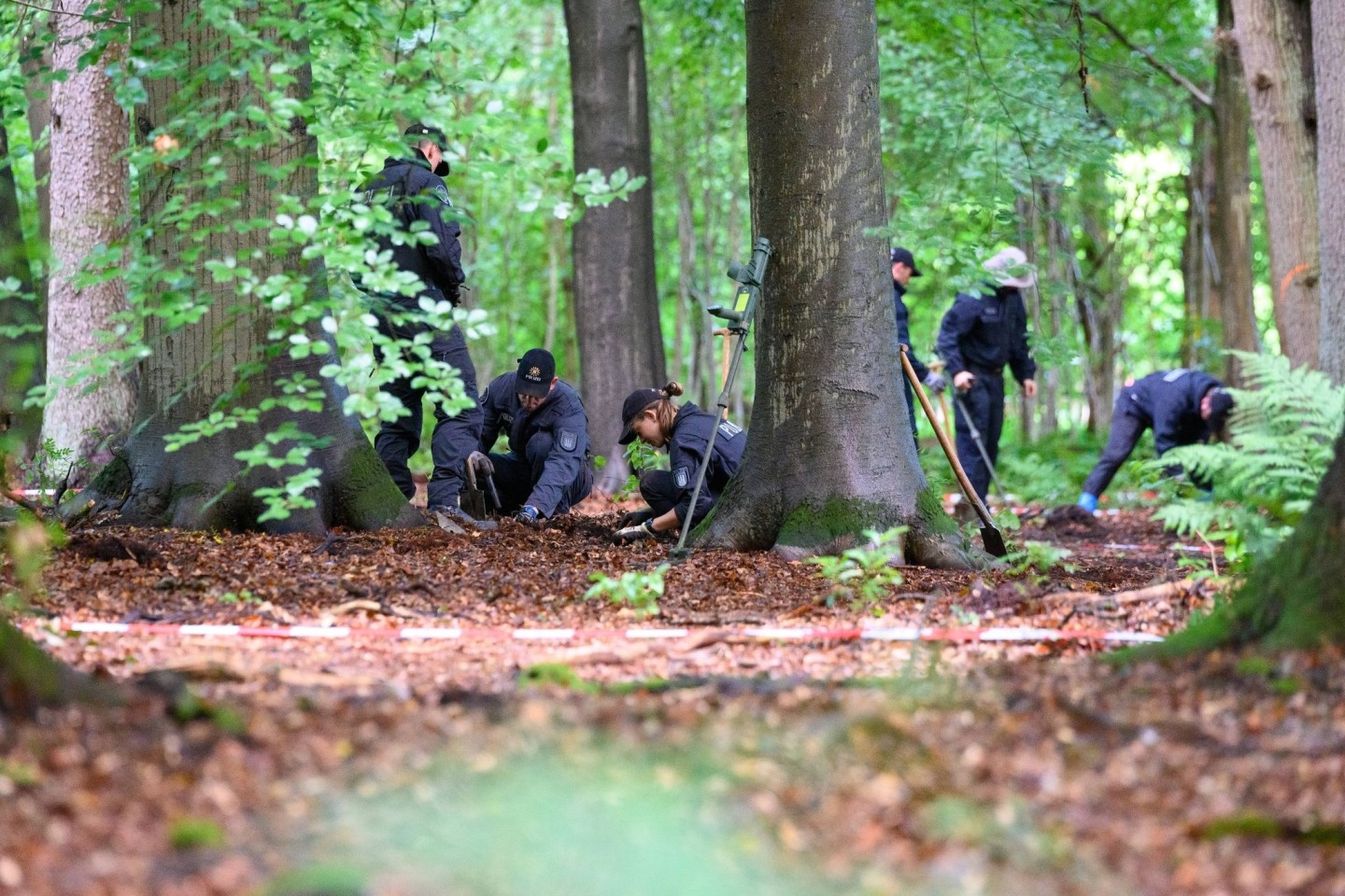 Polizeibeamte durchforsten mit Metalldetektoren und Schaufeln den in Planquadrate aufgeteilten Waldboden in Norderstedt.