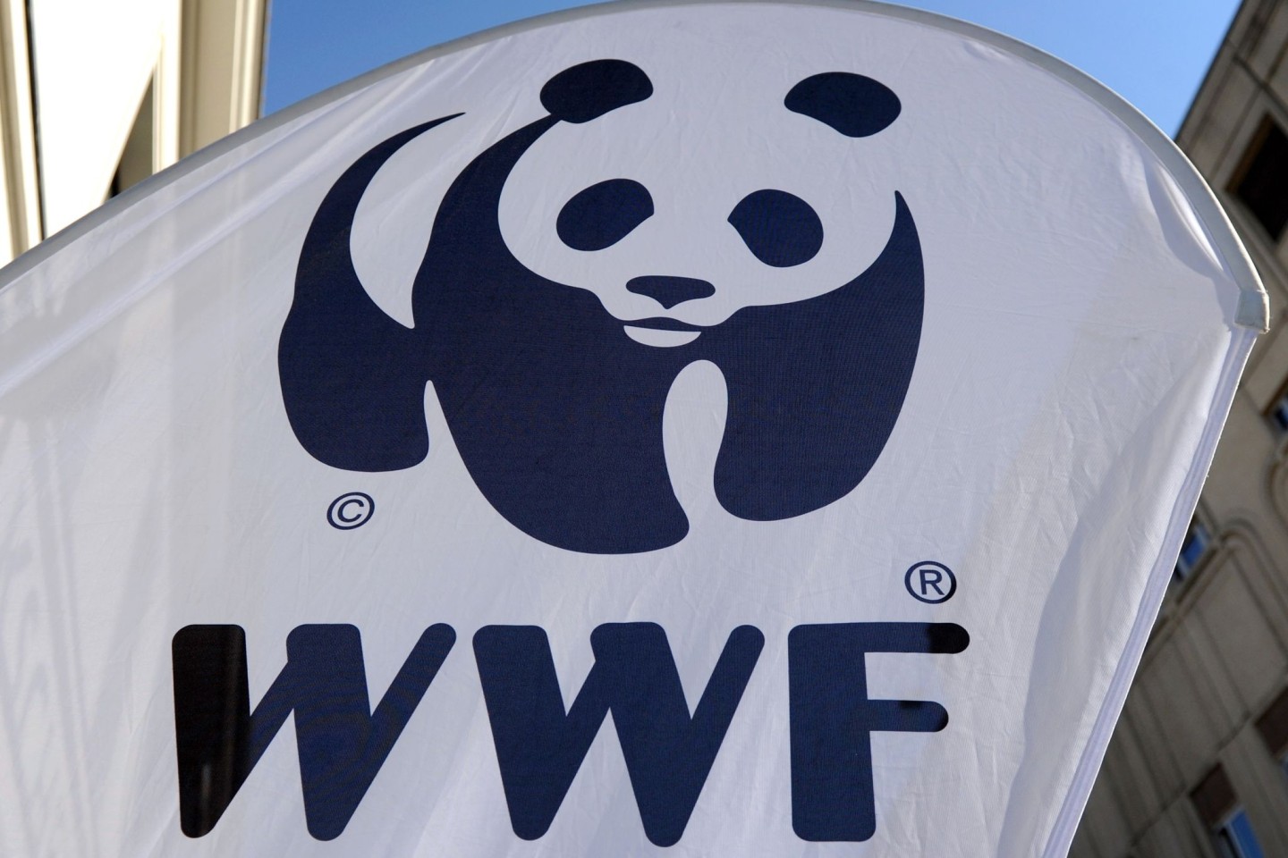 Die Umweltschutzorganisation WWF alarmiert wegen illegaler Fischerei.