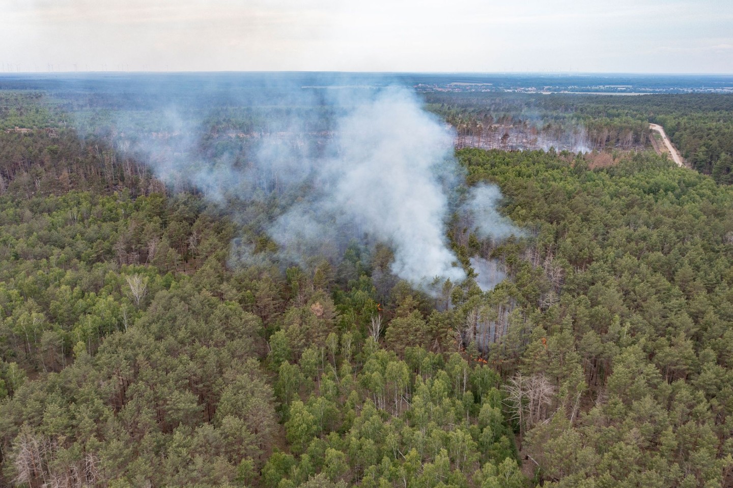 Eine Rauchwolke steht beim Waldbrand im Naturschutzgebiet bei Jüterbog über den Bäumen.