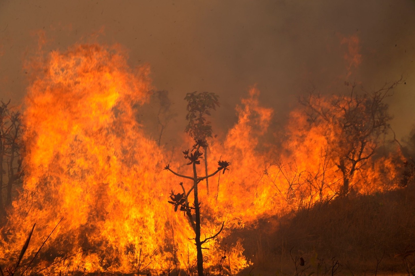Der Parque Nacional in Brasilia brennt lichterloh.