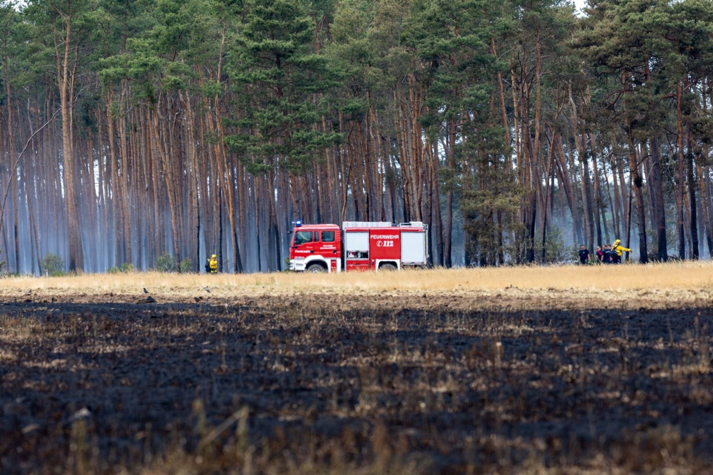 Mehrere Feuerwehren bekämpften den Waldbrand im Naturschutzgebiet Gohrischheide.