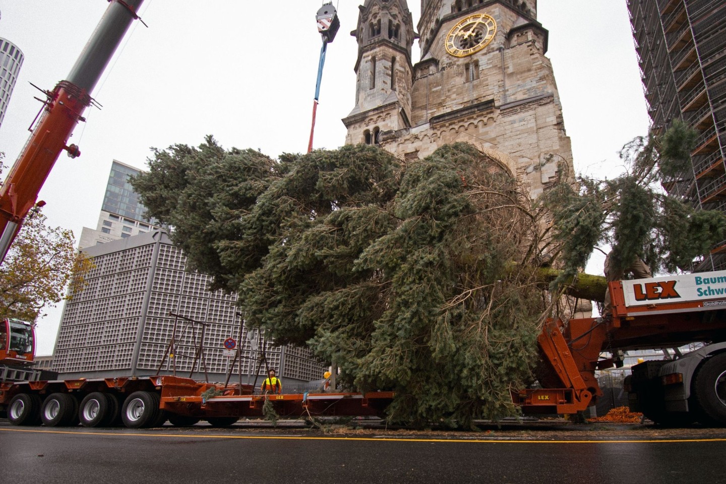 Der Weihnachtsbaum ist am Berliner Breitscheidplatz angekommen.
