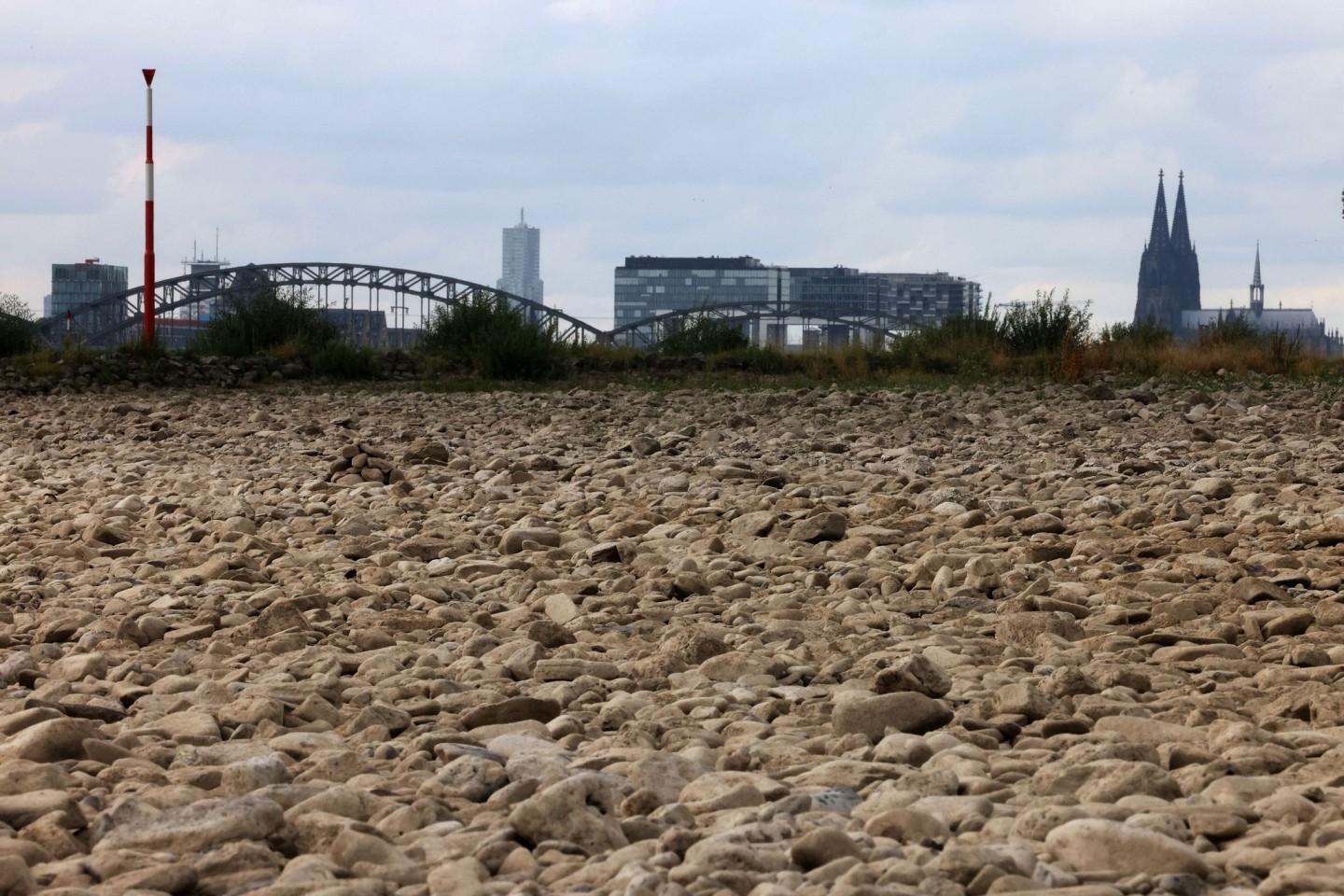 Der ausgetrocknete Uferbereich des Rheins bei Köln im vergangenen Sommer.