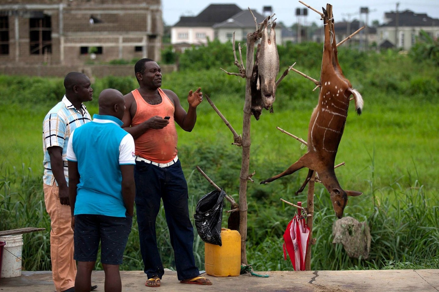 Ein Wildfleischhändler im nigerianischen Bundesstaat Bayelsa preist gegenüber potenziellen Kunden seine Ware an.