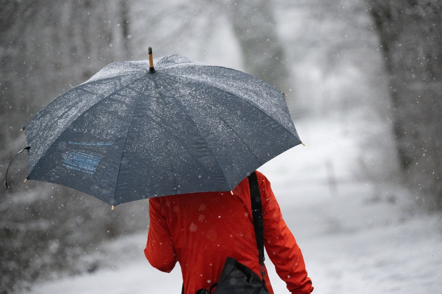 Eine Frau geht mit Regenschirm durch den Schnee. Stellenweise kann es in den kommenden Tagen in Deutschland wieder schneien.