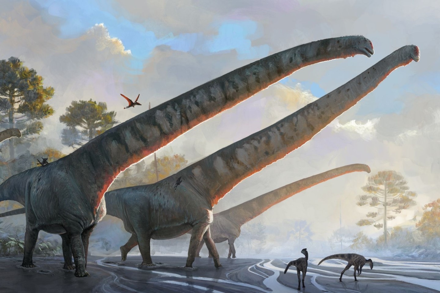 Halslänge von mehr als 15 Metern: Die Illustration des Natural History Museums zeigt Vertreter der Art Mamenchisaurus sinocanadorums.